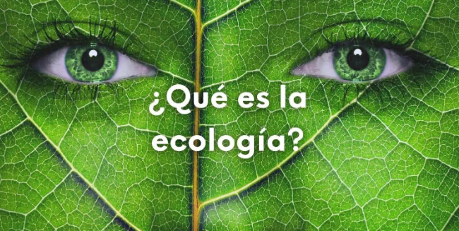 Cómo ha Evolucionado la Ecología en Venezuela desde los Años 60