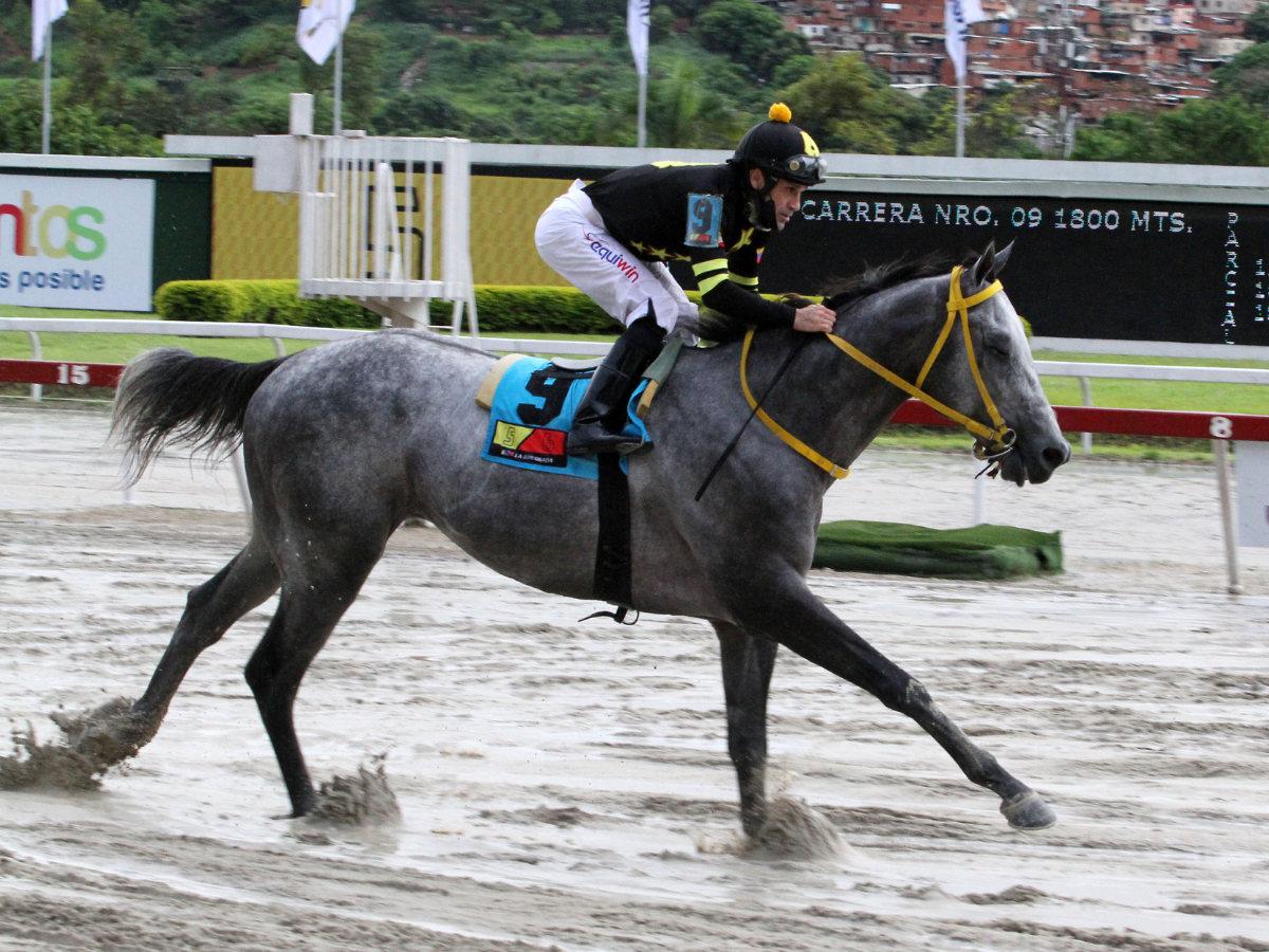 Clásico Súper Sergio va con seis inscritos en el HINAVA