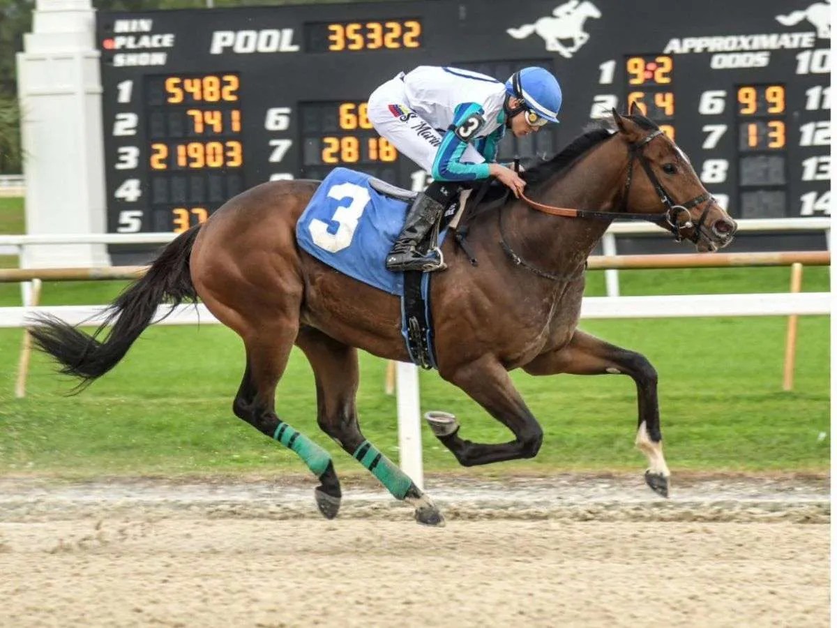 Camacho y Marín en duelo por el título