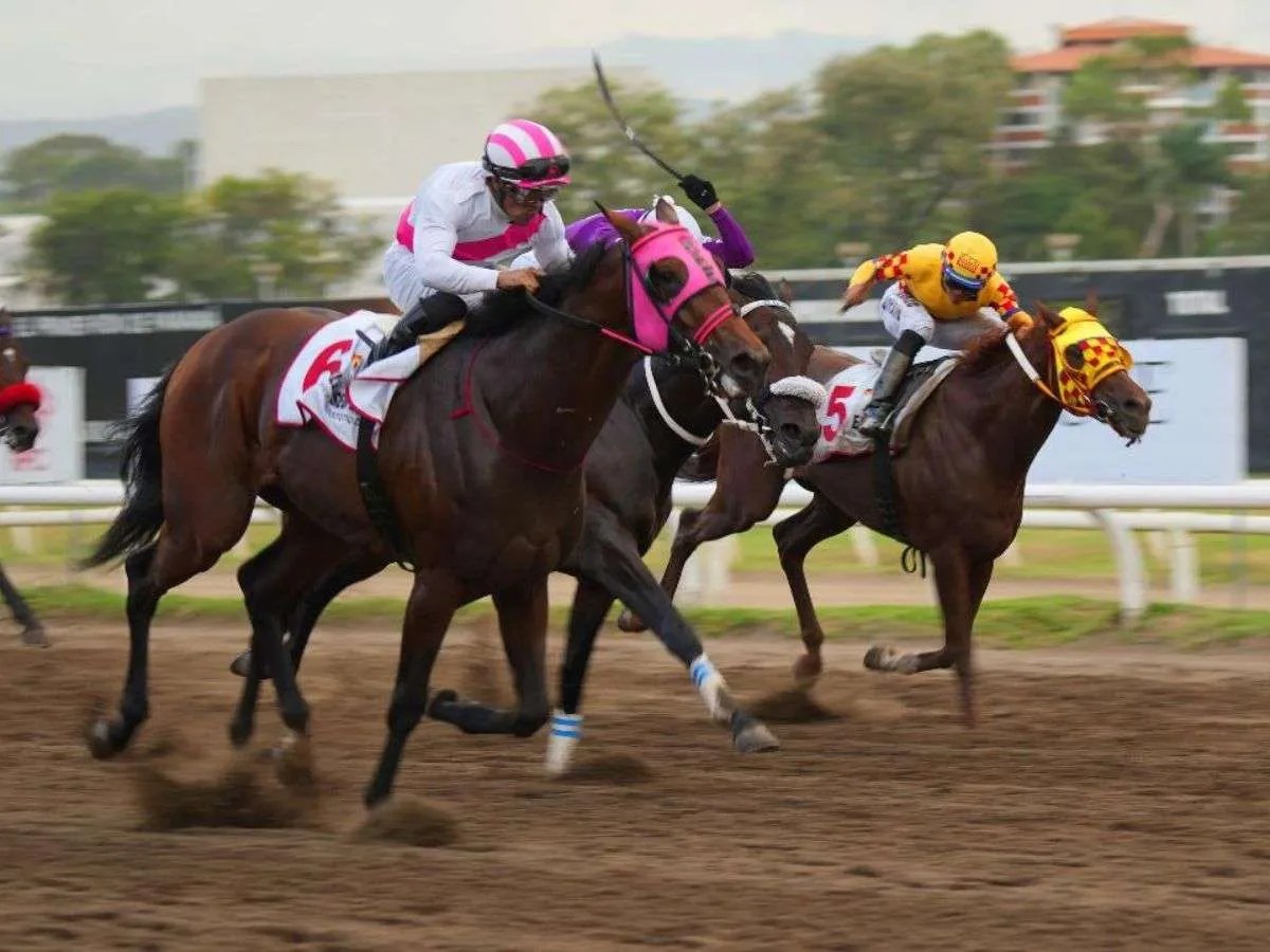 Entrenador criollo Mario Estévez reinó en Panamá