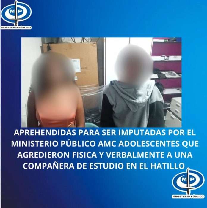 Detenidas dos adolescentes que agredieron física y verbalmente a una compañera en un colegio de El Hatillo