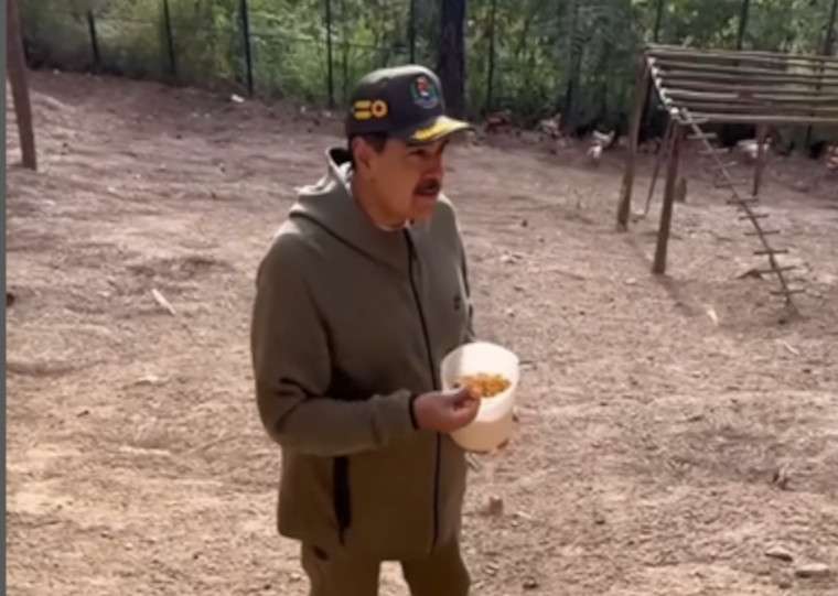 Presidente Maduro incentiva producción local desde su propio gallinero
