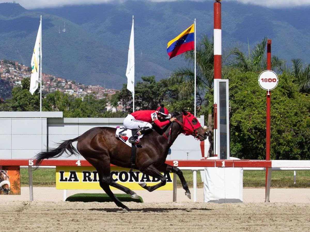 Sugar Cane sorprendió en el Clásico Andrés Bello