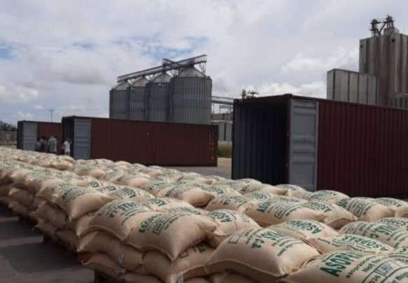 Embarcan contenedores de café verde hacia EEUU