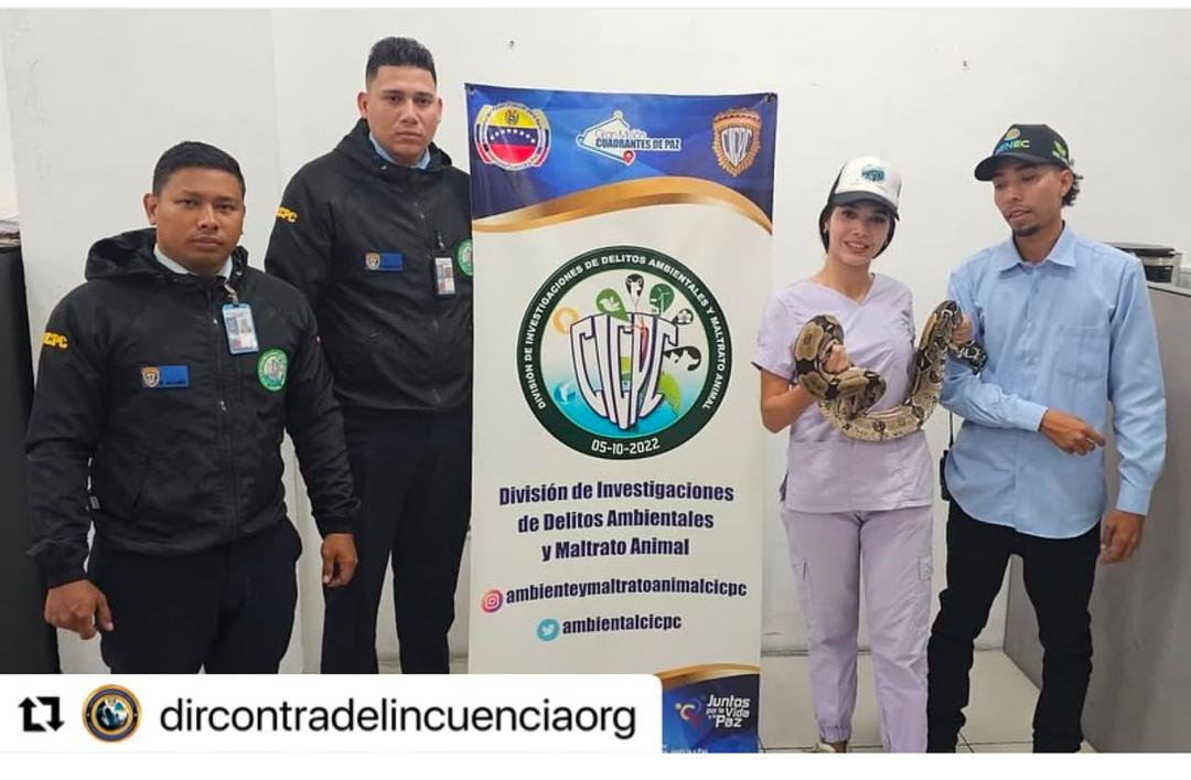 Cicpc rescató una tragavenado - Últimas Noticias