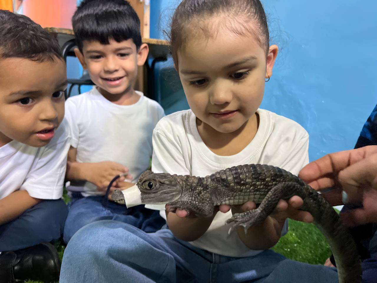 En Valencia activan programa Zoo Educativo