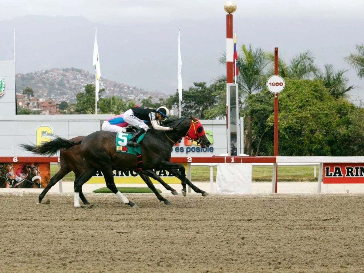 Barbarroja se adjudicó la carrera de apertura
