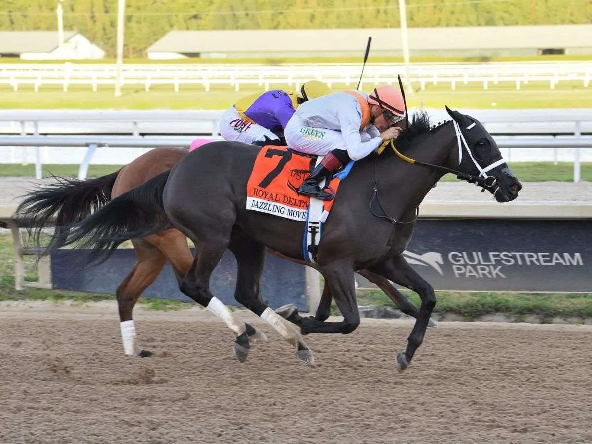 Dazzling Move lució un mundo en el Royal Delta