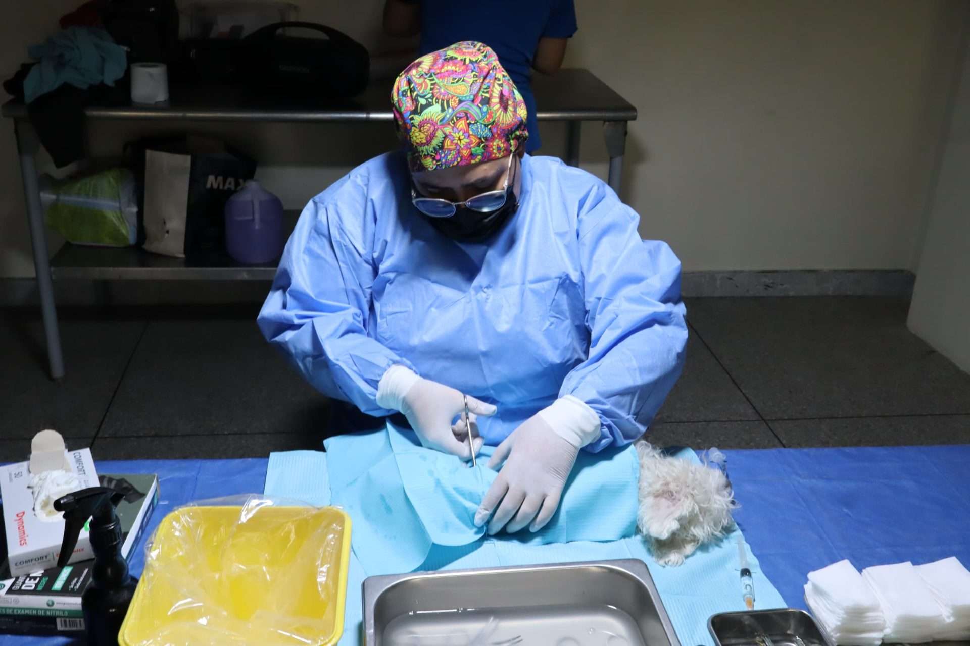 Misión Nevado cumplió primera jornada de esterilización en Trujillo