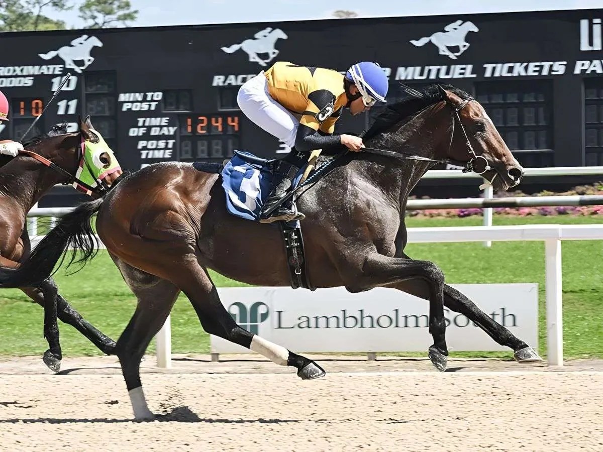 Venezolanos destacaron en Tampa Bay Downs