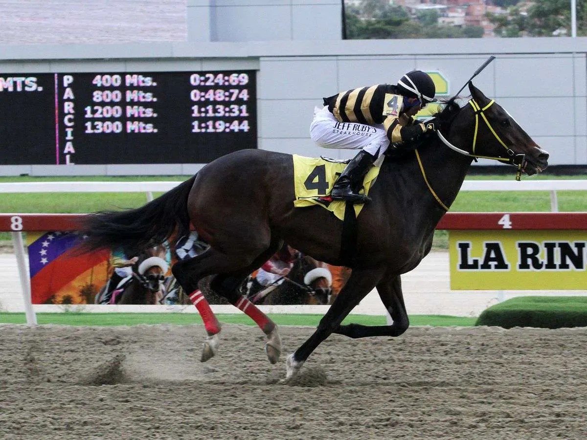 The Queen Nani venció fácil en la cuarta justa