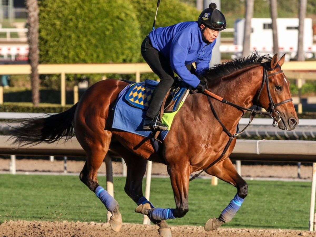 Así va la tabla para el Kentucky Derby