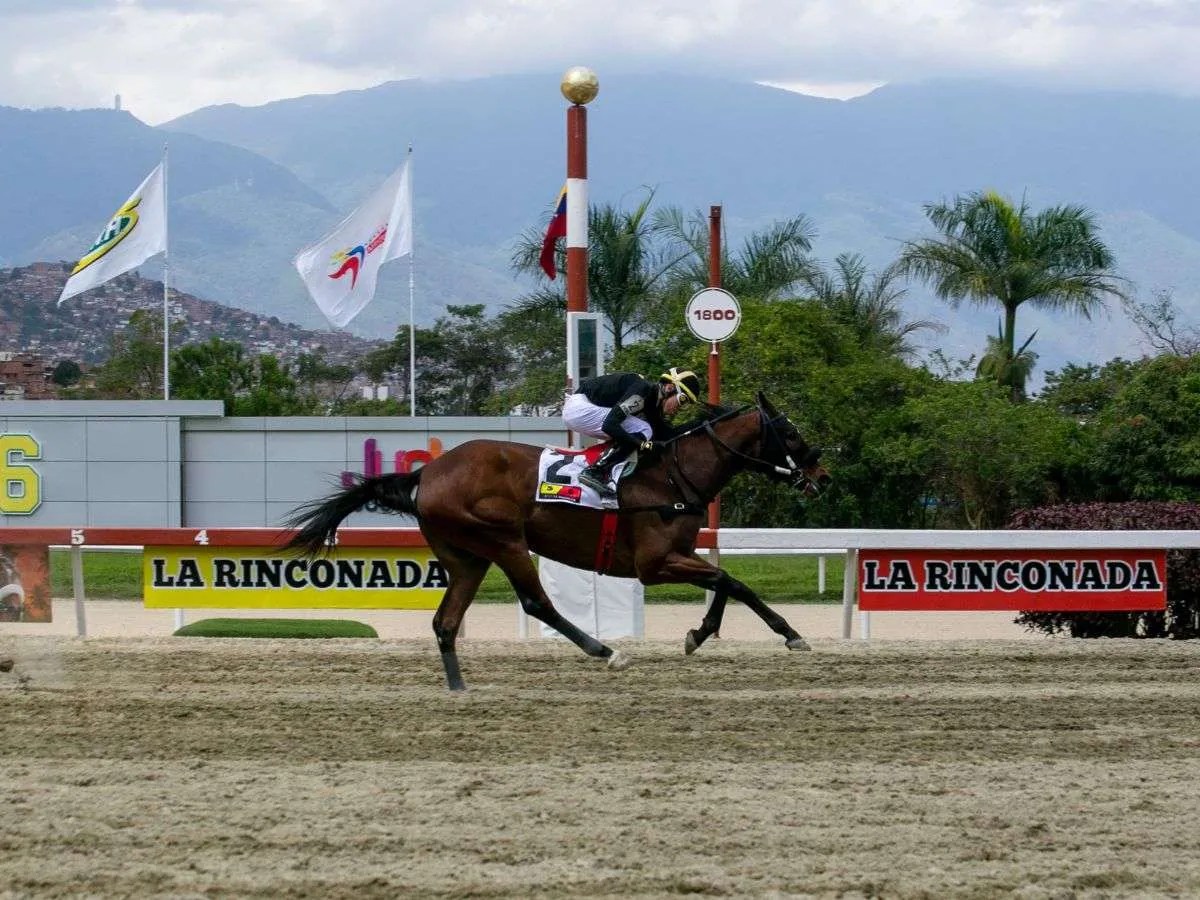 La importada Colder Weather ganó solvente con Puello Jr.
