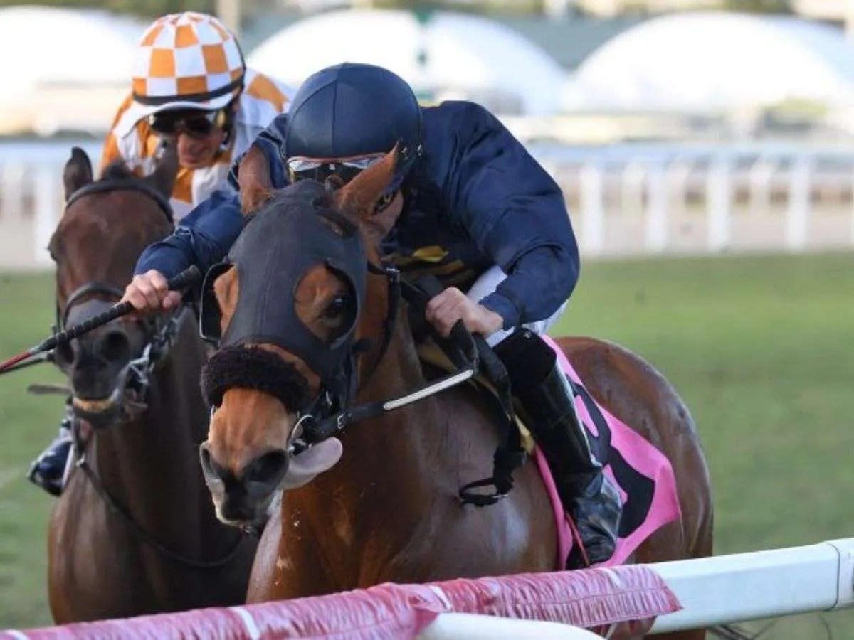 Epona’s Hope prolonga racha sobre la hierba