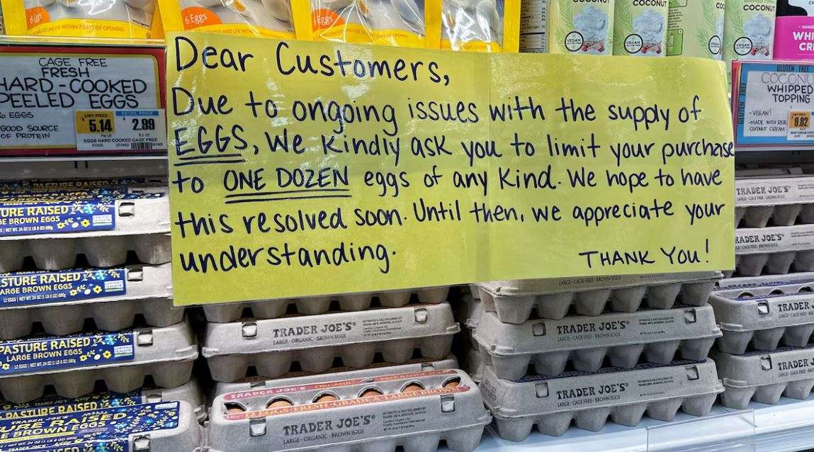 Estadounidenses enfrentan escasez y precios altos de los huevos  