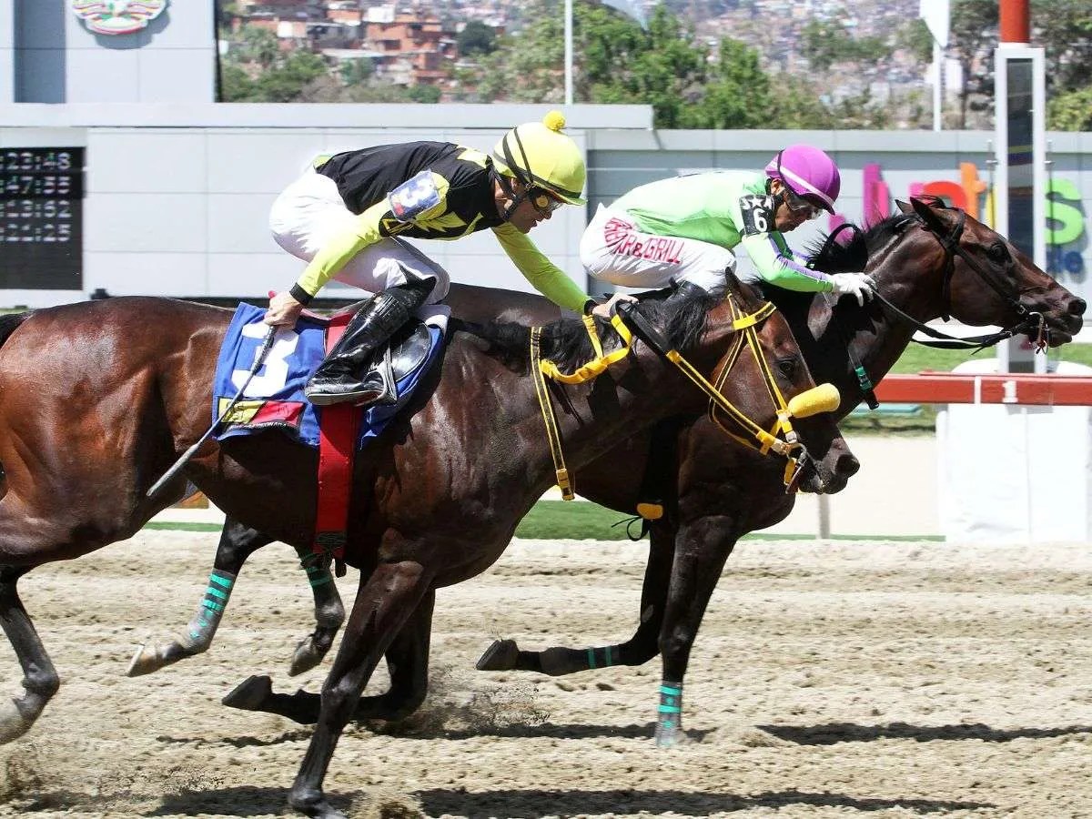 El Kamilo venció en la mejor zafra de Caracas