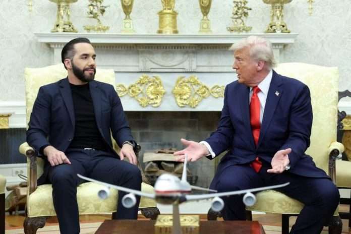 Bukele planea ampliar el Cecot para recluir más migrantes expulsados de EEUU
