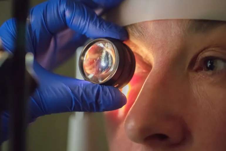 Investigadores coreanos desarrollan terapia que revierte la ceguera