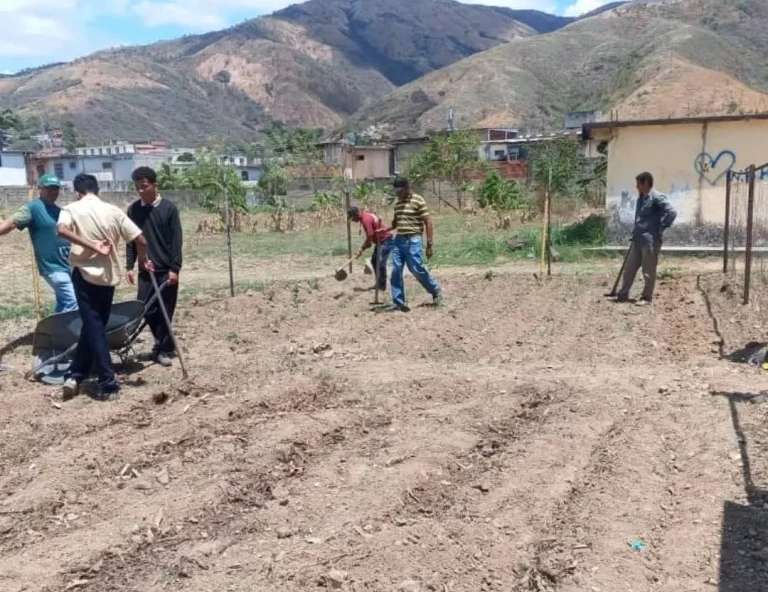 Estudiantes aragüeños impulsan la agricultura urbana
