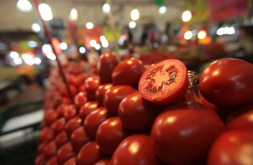 EEUU impondrá arancel de casi 21% a tomates mexicanos a partir de julio