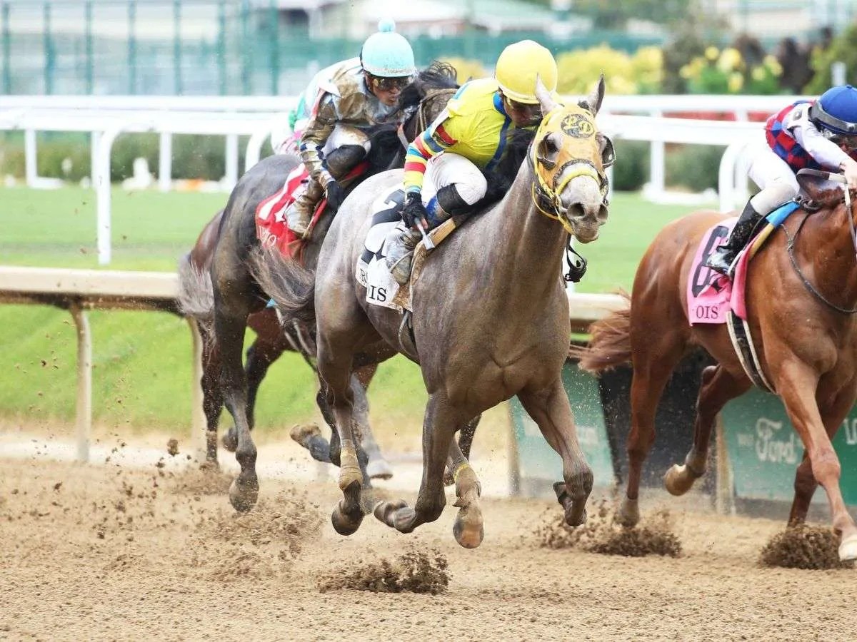 Ruta al “Derby de las Rosas” finaliza esta tarde
