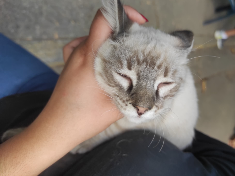 Nuby: aquí comemos todos - Últimas Noticias