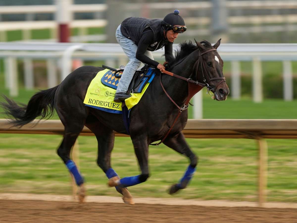 Rodríguez al Preakness 2025 - Líder en deportes