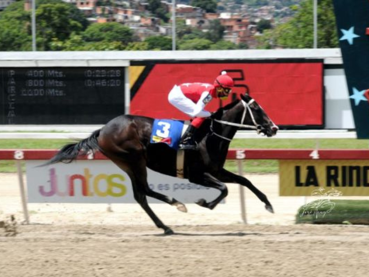 Fast Sensations va por la repetida