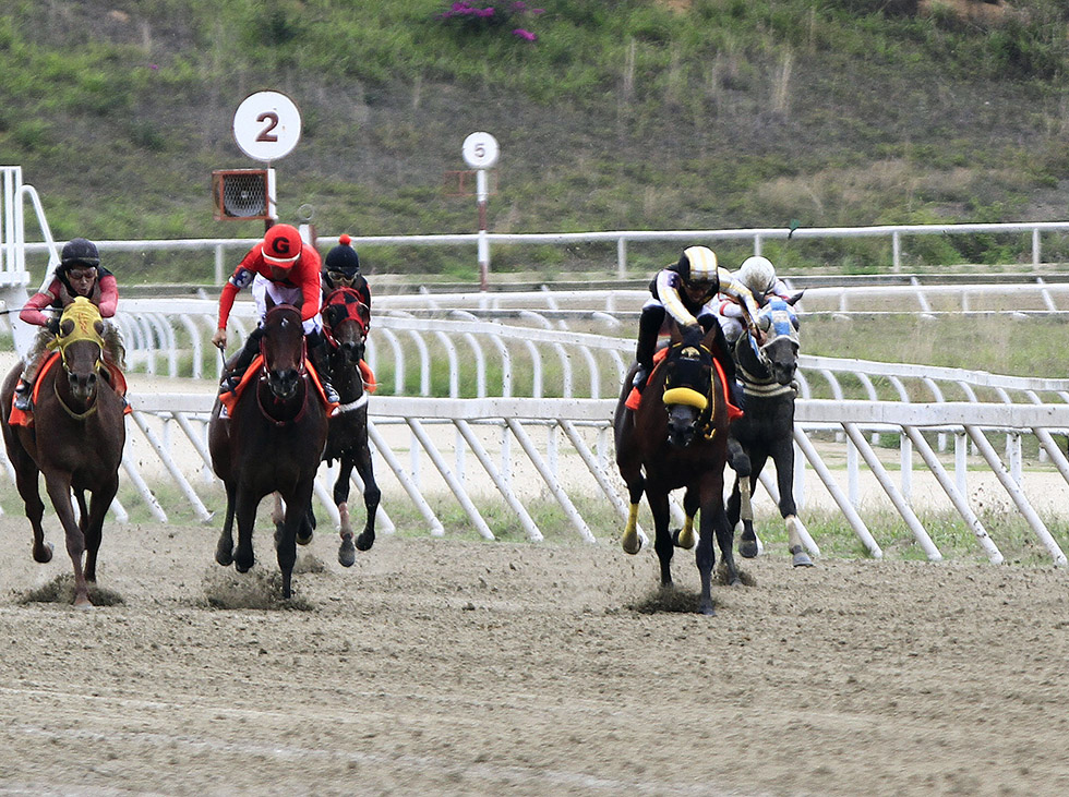 La Rinconada tendrá  7 clásicos en junio