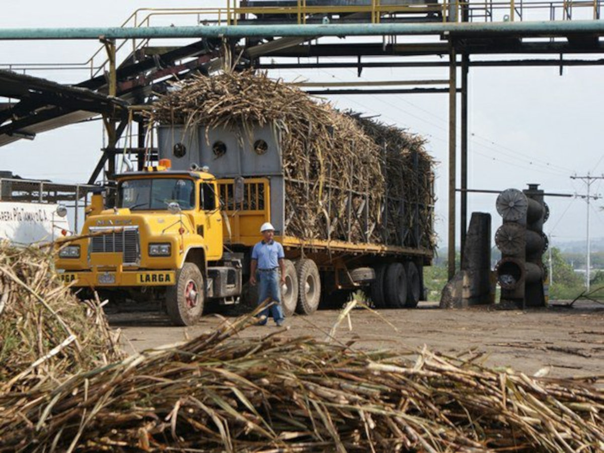 Industria azucarera venezolana surte el 60% del mercado nacional