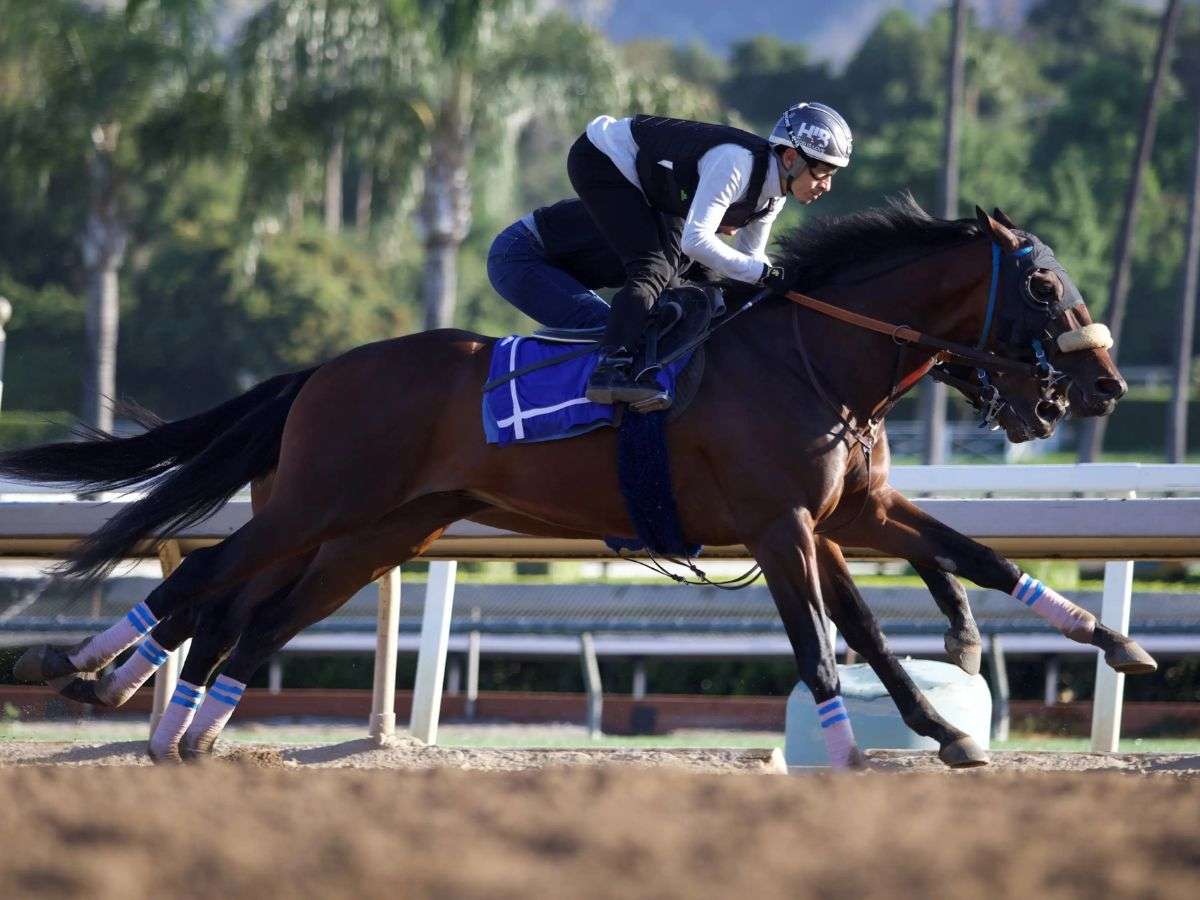 Baeza buscará sorprender en el Belmont Stakes