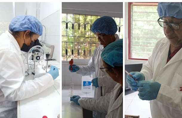 Desarrollan proyectos de investigación para fortalecer la apicultura en el país