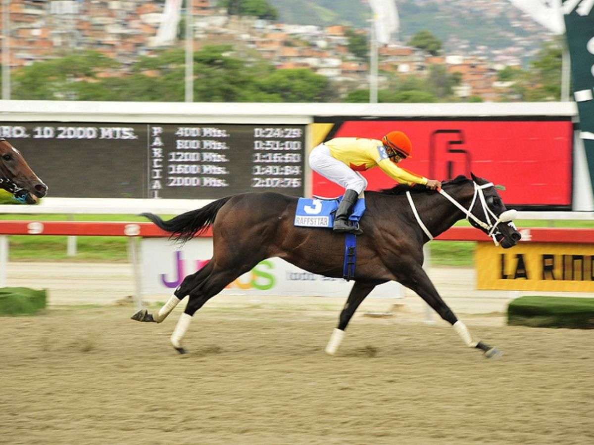 Desde Gradisco a Raffstar - Líder en deportes