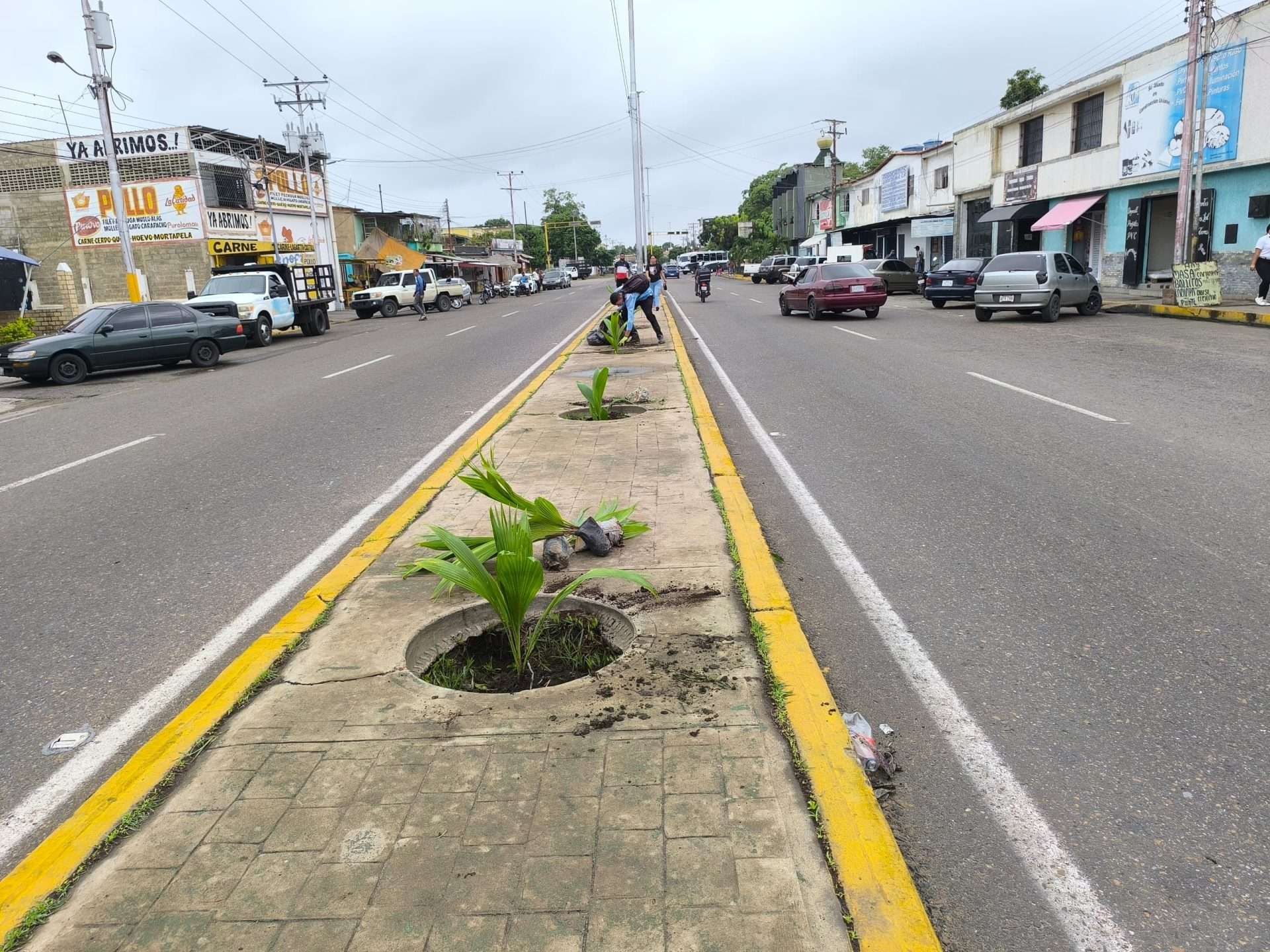 Plan de arborización “Ciudad Jardín” establecerá 2 mil plantas en Barcelona