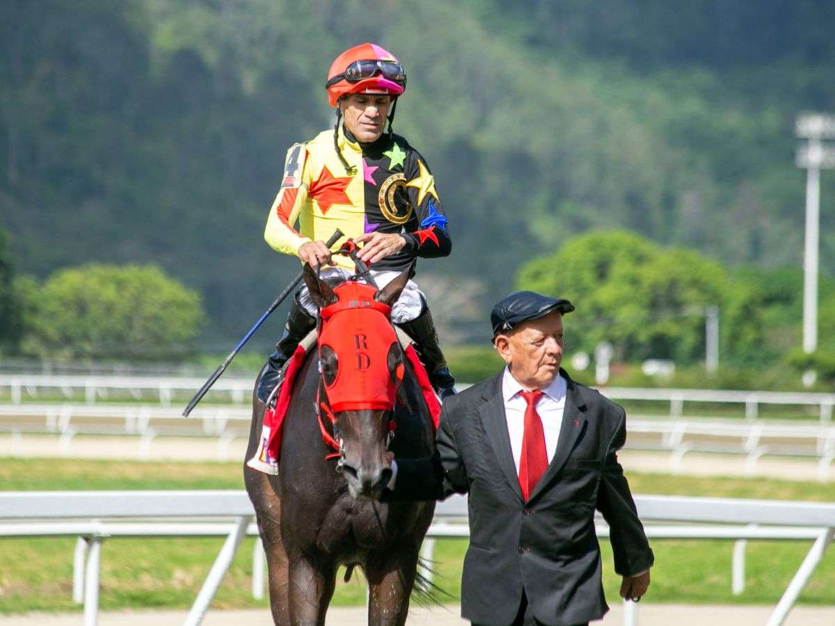 José Gilberto Hernández y My Titico Mate van seguros