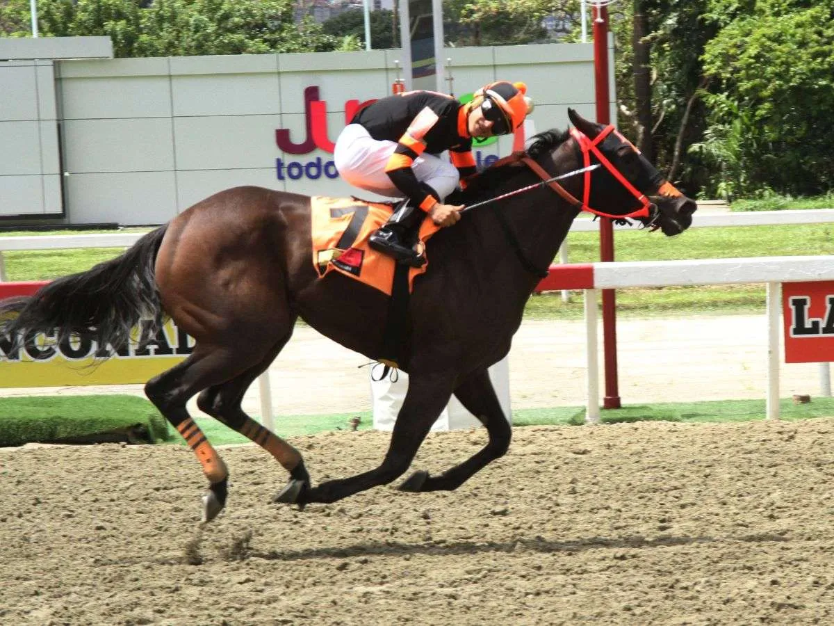 Princess Warrior debutó ganando el Ángel F. Parra
