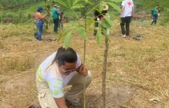 Con la siembra de 100 árboles inició Plan de Reforestación en Aragua