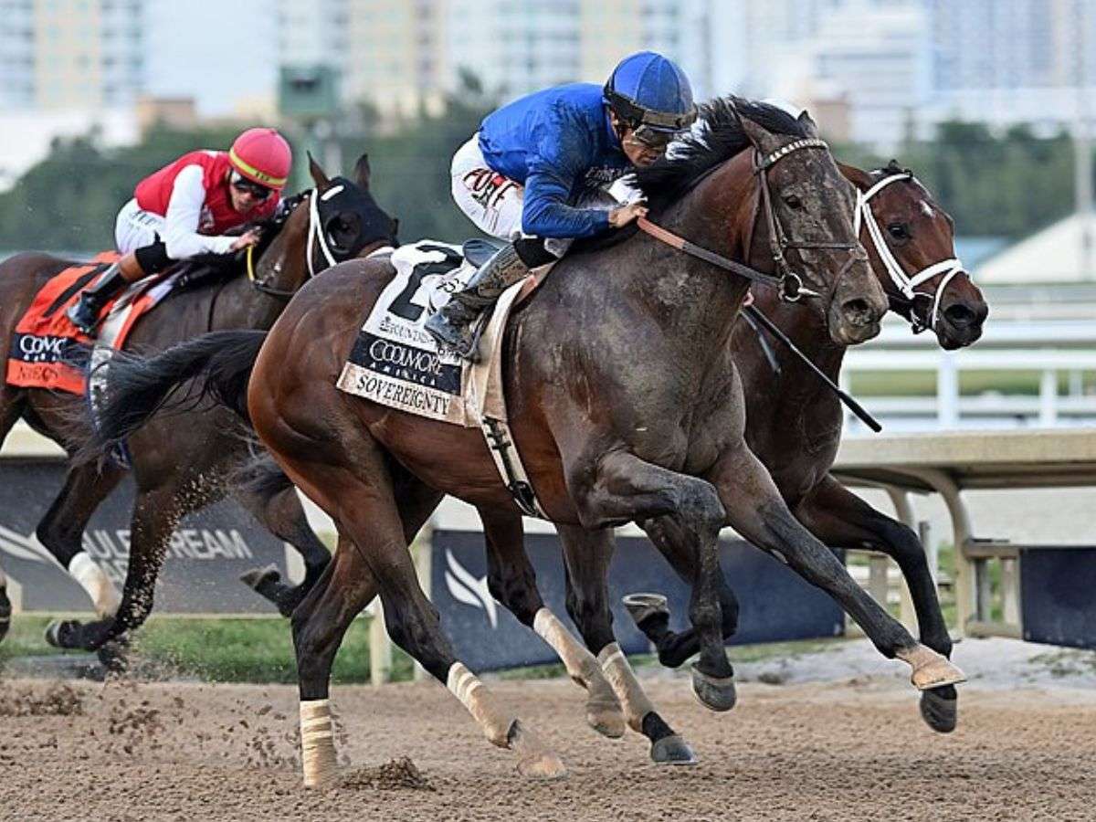 Sovereignty y Journalism favoritos del Belmont Stakes