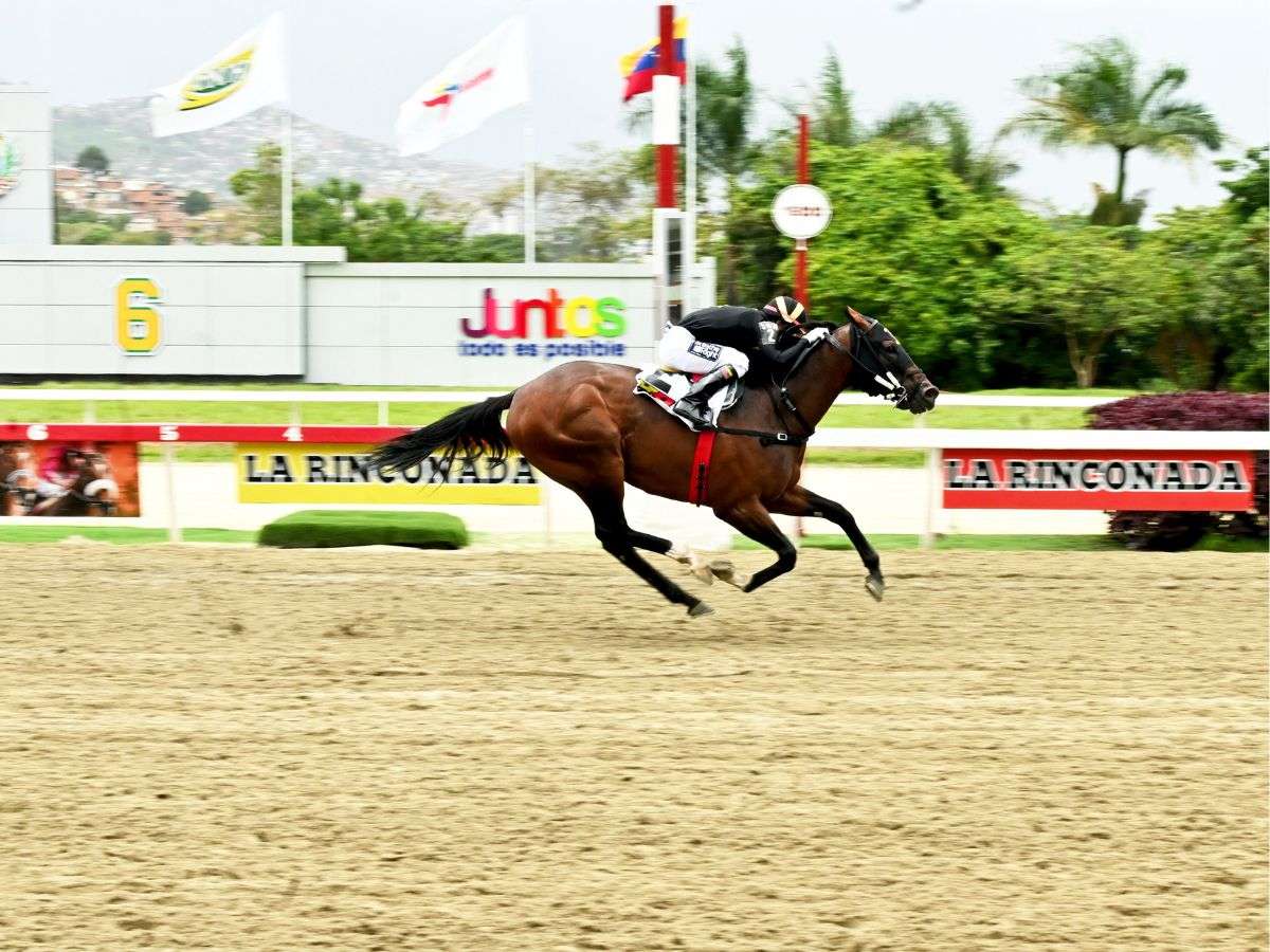 Special Element no dio tregua y ganó sobrado