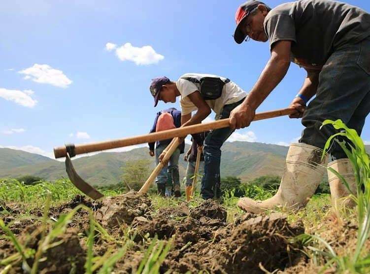 Venezuela acogerá la 1ª Expo AgroAlba 2025 este 5 y 6 de junio
