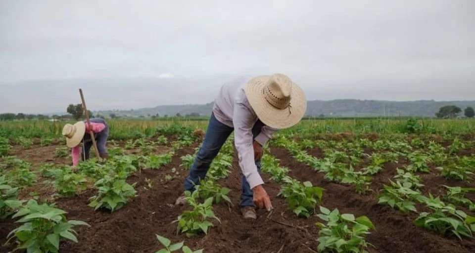 Inameh evalúa zonificación climática para impulsar el desarrollo productivo nacional