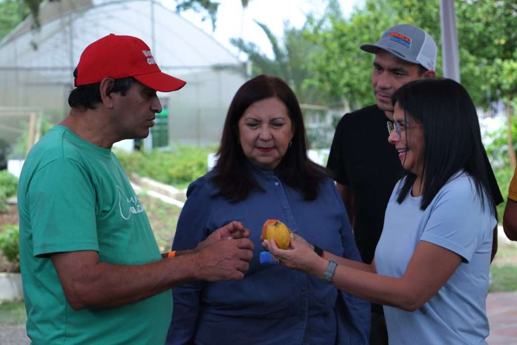Vicepresidenta inspecciona producción agrourbana en Caracas