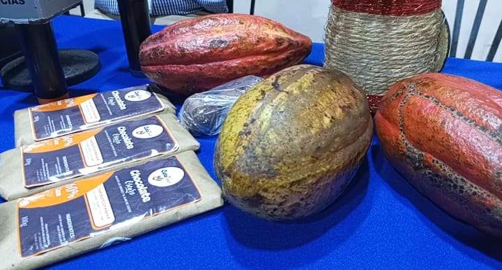 Realizarán primera Expoferia Cacao y Chocolate en Cumaná 
