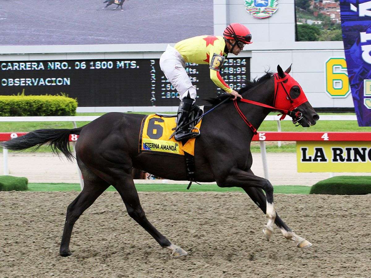 Eterna Amanda a un paso de la Triple Corona