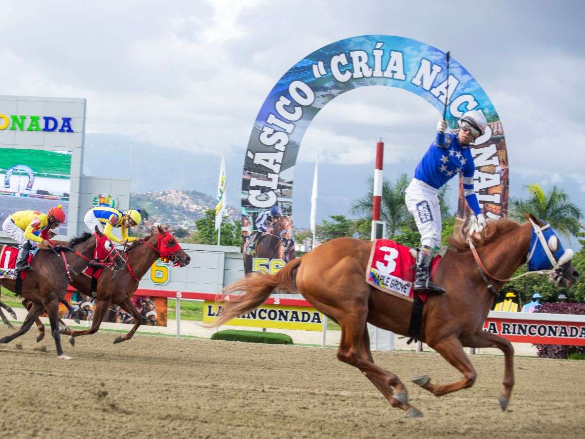 Maple Grove sorprendió en el Clásico Cría Nacional