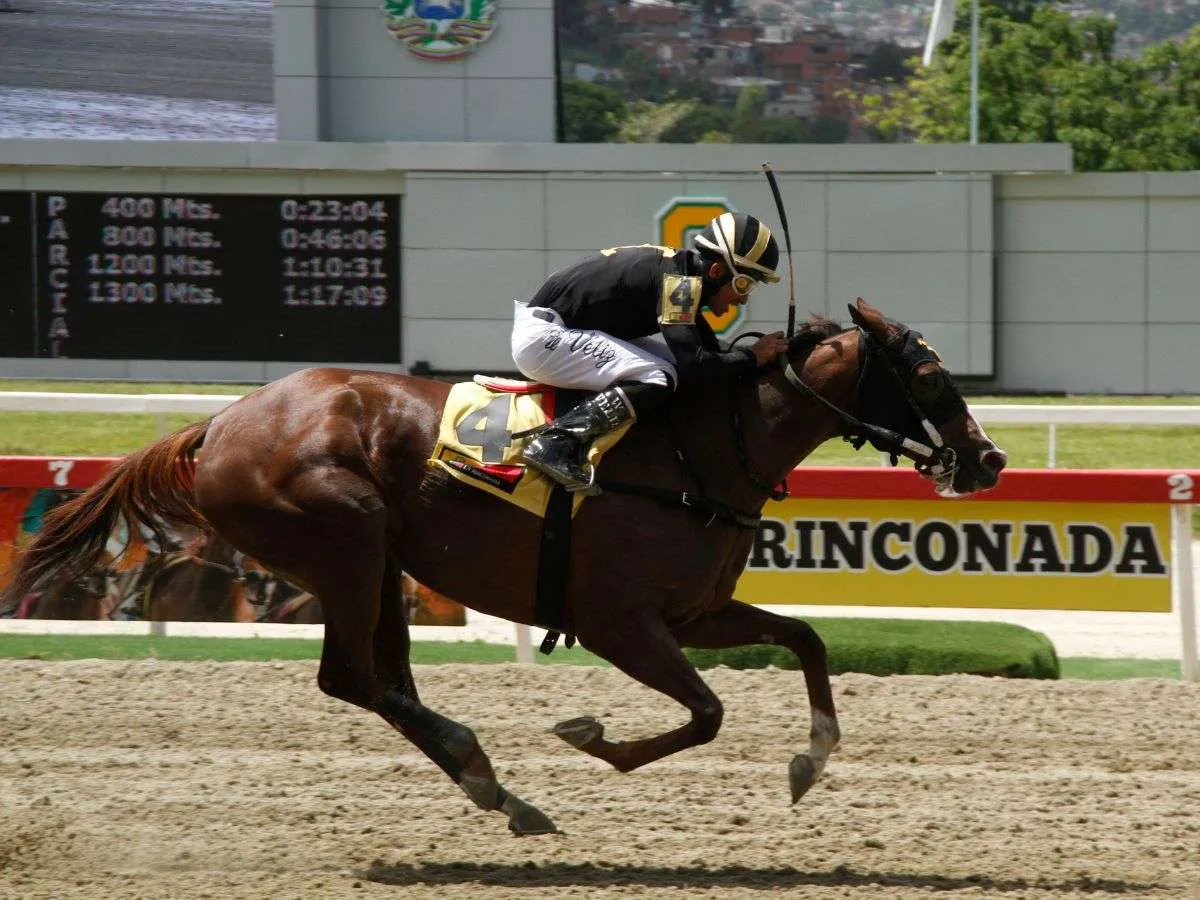 Say Cheez Louise ganó el duelo de importadas