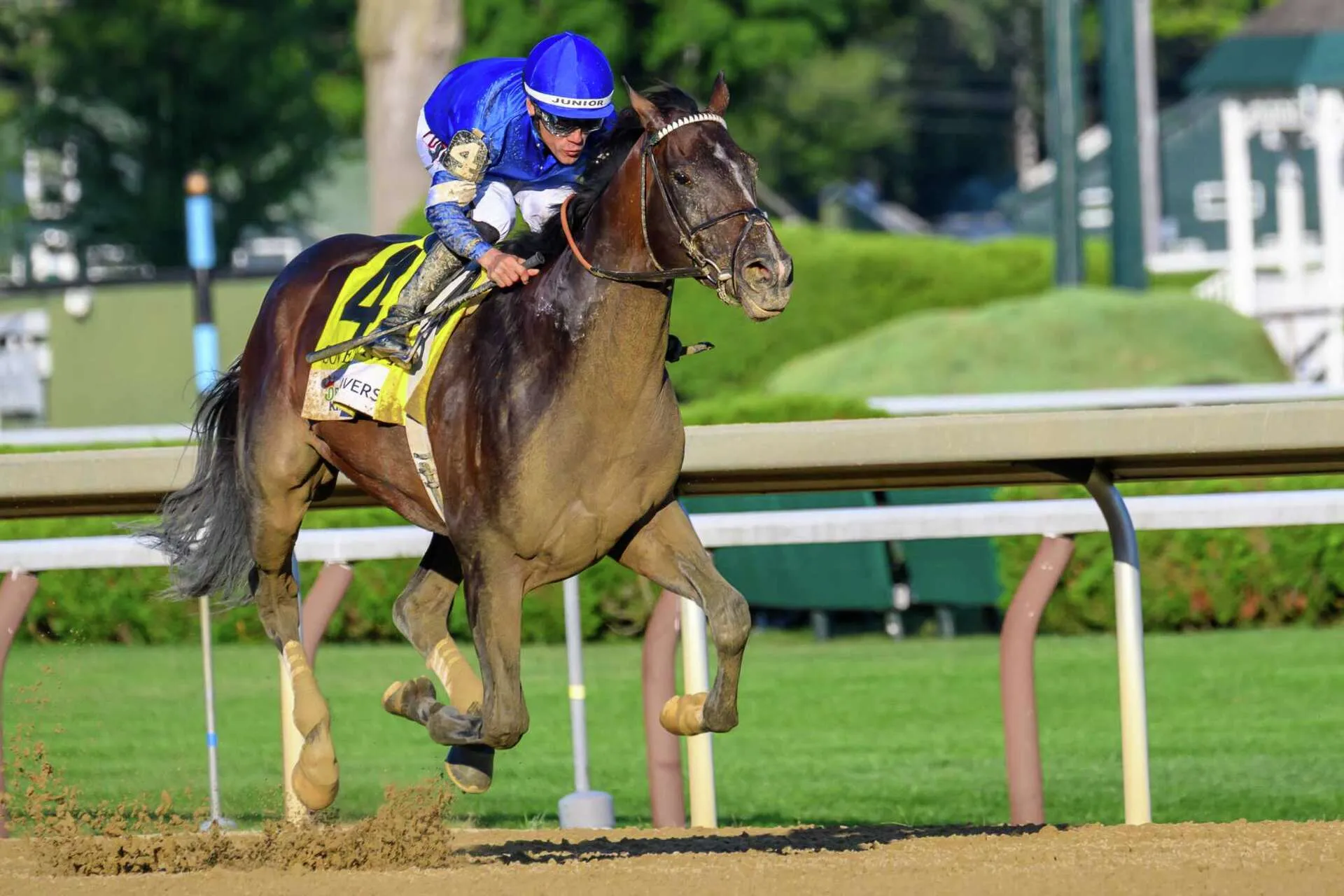 Sovereignty sin problemas en el Travers Stakes