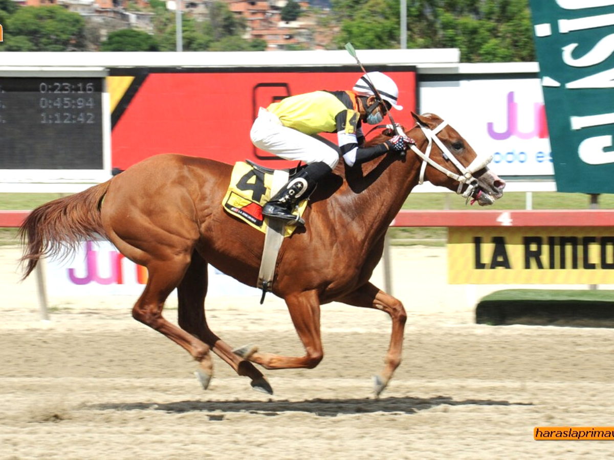Haras La Primavera domina el segundo meeting del año