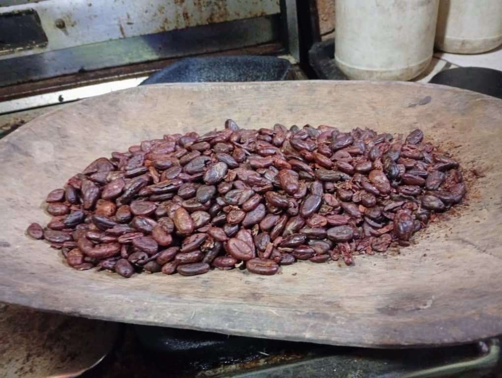 Con plan piloto impulsan cultivo de cacao en Cojedes