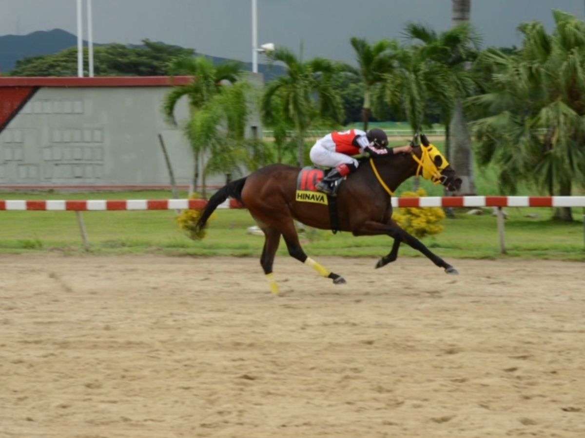 Clásico Ciudad de Valencia será la atracción de mañana